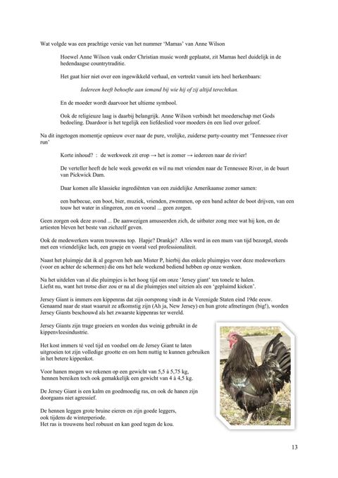 Verslag Dag 1, pagina 13